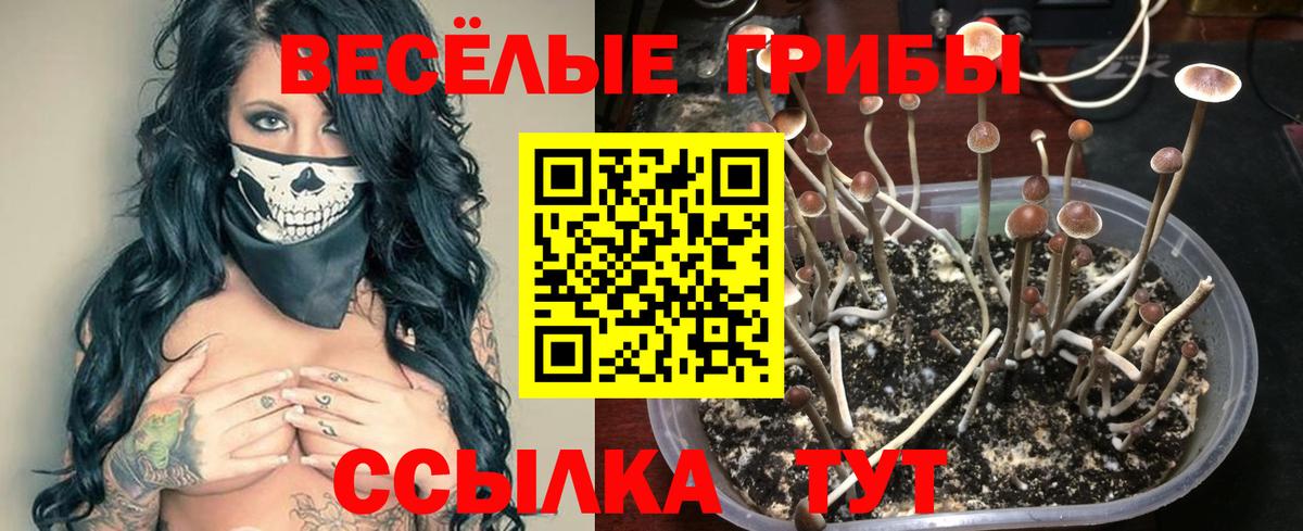 Псилоцибиновые грибы Magic Shrooms Зима